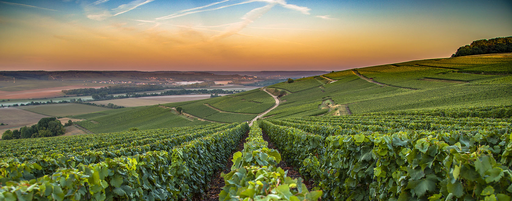 French wine country at sunset with view of vineyards stretching to the horizon.